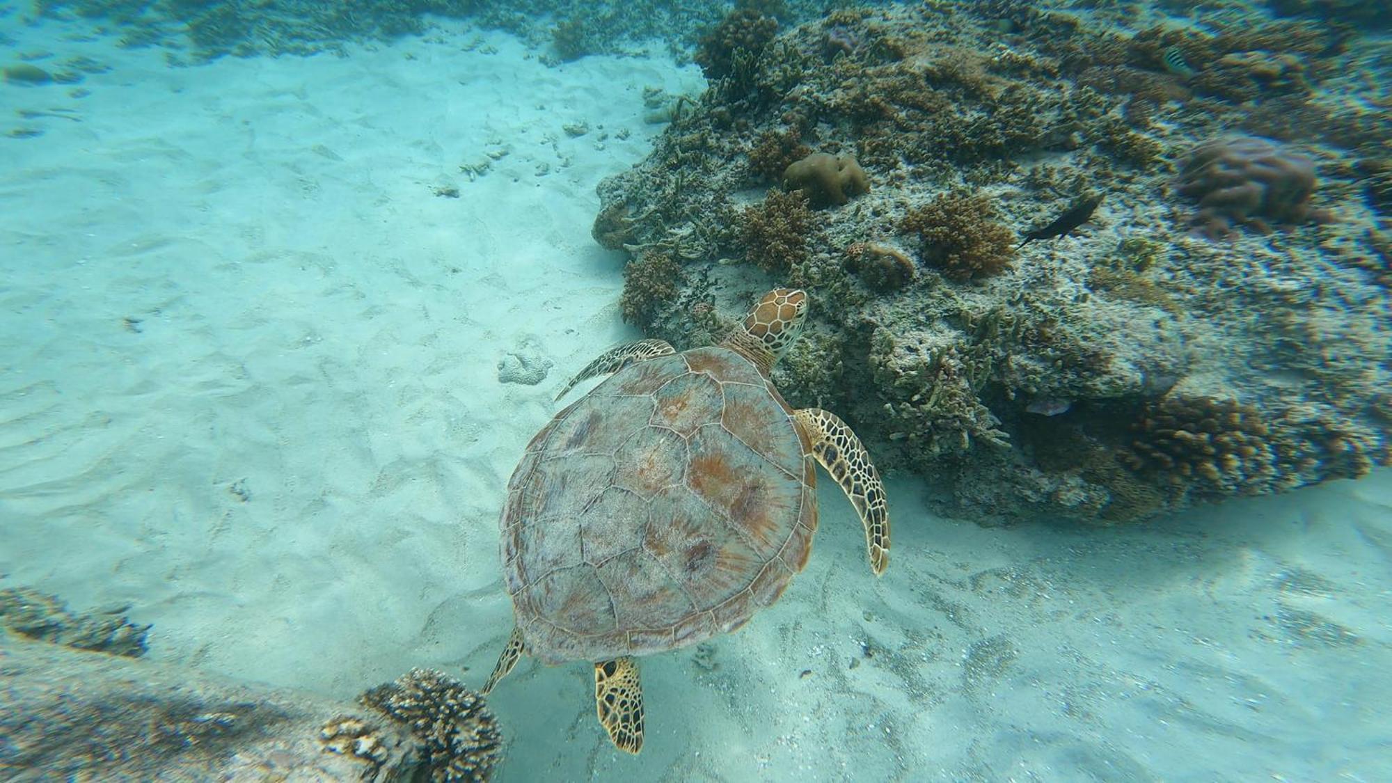 Mara'Ai Le Spot Tubuai, Chambre Triple Deluxe Mahu Sdb Privee Avec Piscine Mataura Luaran gambar